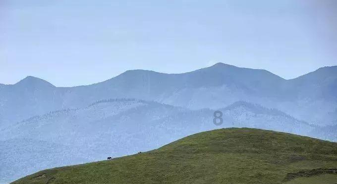 老公把公司当做家忽略了我和孩子我想给他写一封信？游戏画面