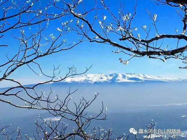 失事的飞机逃脱