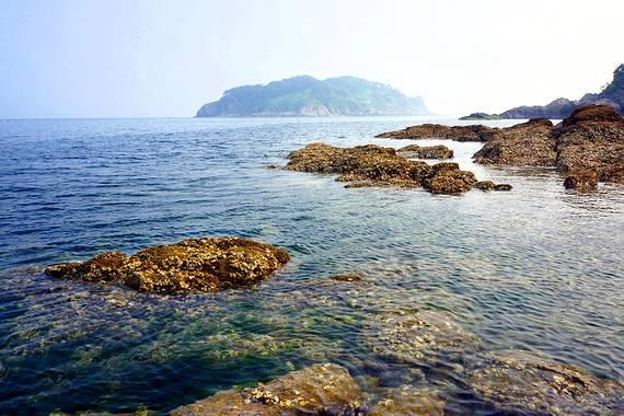 人类：一败涂地